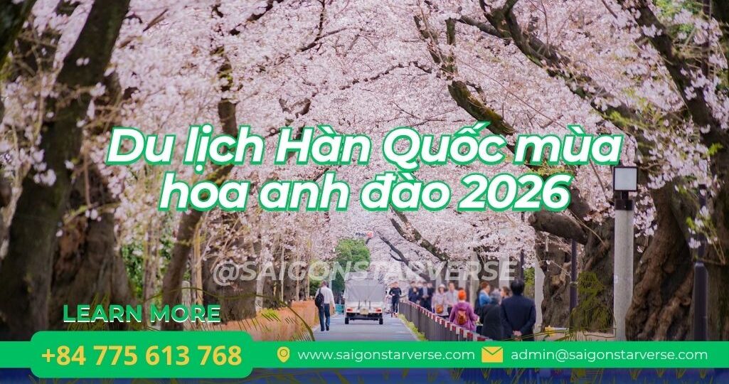 Giải Mã Du lịch Hàn Quốc mùa hoa anh đào 2026: Bí kíp săn ảnh "vạn người mê" tại Nami Island.