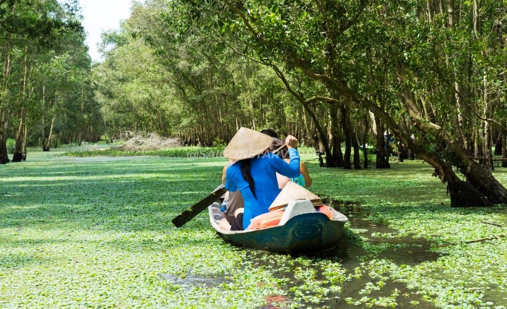 Du khách tận hưởng không khí trong lành khi đi thuyền khám phá hệ sinh thái rừng tràm Trà Sư, An Giang.