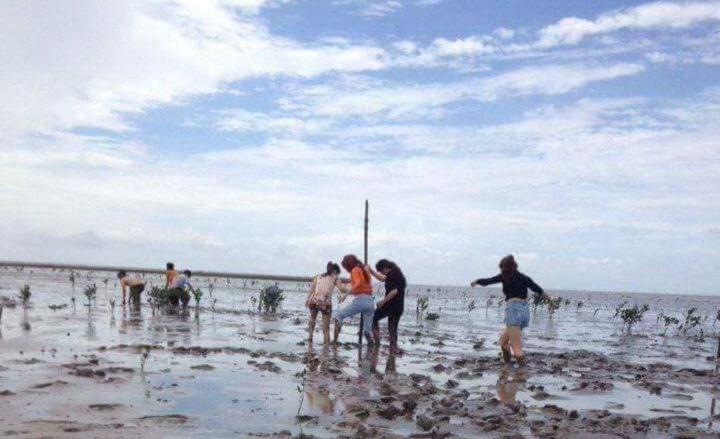 Du khách tham gia trồng cây đước tại Cà Mau