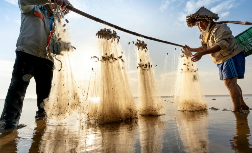 Local fishermen casting nets in Ca Mau waters