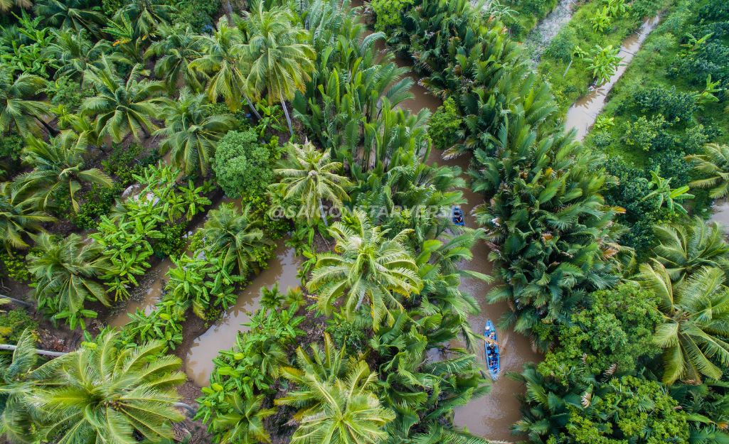 Tourists rowing sampan under nipa palms in Ben Tre