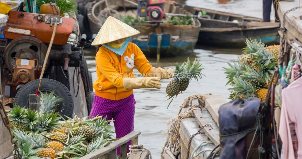 Mekong Delta Tours 2025 – Full Package to Explore Vietnam’s Waterways