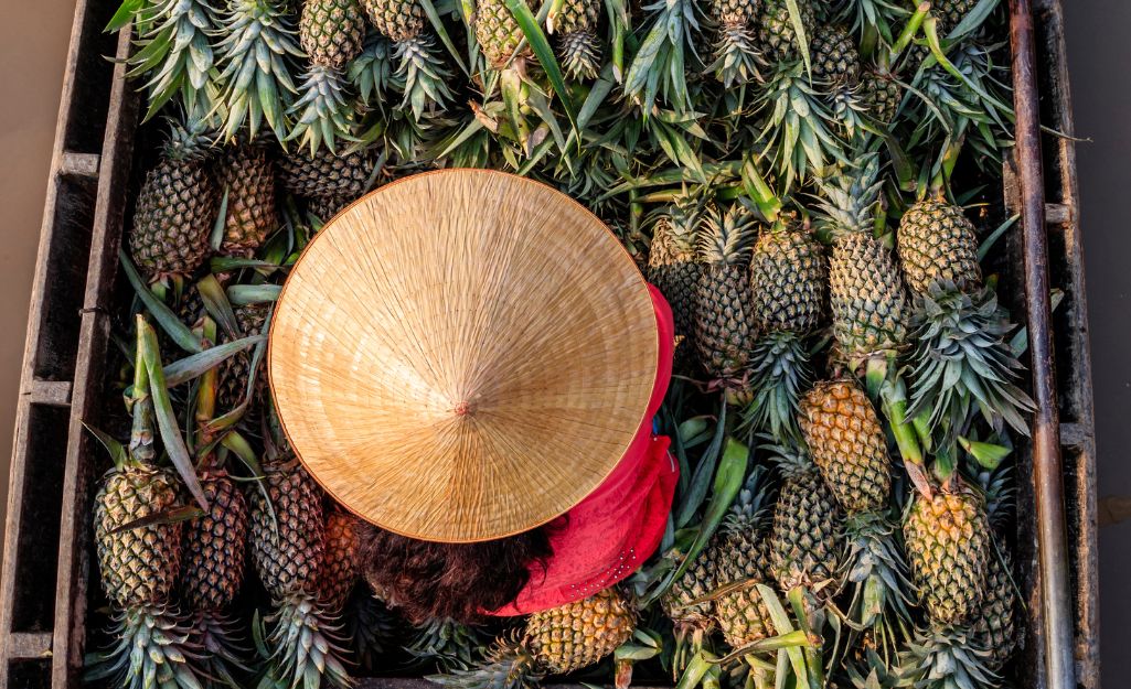 Tourist buying fresh pineapple at Cai Rang