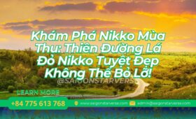 Khám Phá Nikko Mùa Thu: Thiên Đường Lá Đỏ Nikko Tuyệt Đẹp Không Thể Bỏ Lỡ!
