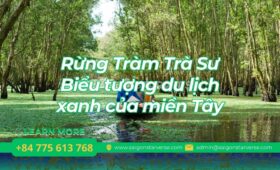 Rừng Tràm Trà Sư – Biểu tượng du lịch xanh của miền Tây