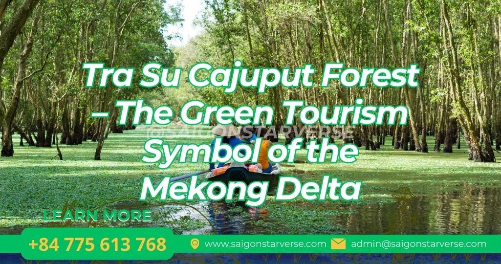 Tra Su Cajuput Forest – The Green Tourism Symbol of the Mekong Delta