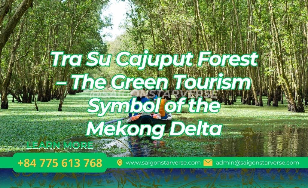 Tra Su Cajuput Forest – The Green Tourism Symbol of the Mekong Delta