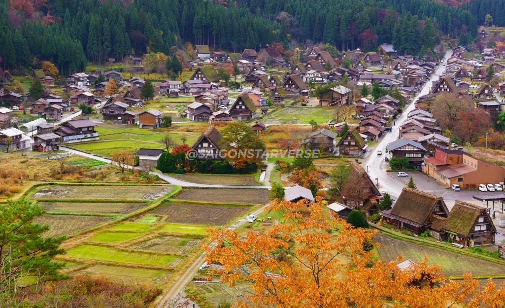 Ngôi làng Shirakawa-go vào mùa thu với những ngôi nhà mái tranh cổ kính bao quanh bởi lá đỏ và vàng rực rỡ