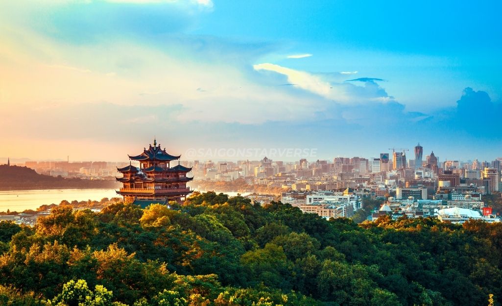 Hồ Tây hàng châu lãng mạn với cây bạch quả vàng rực