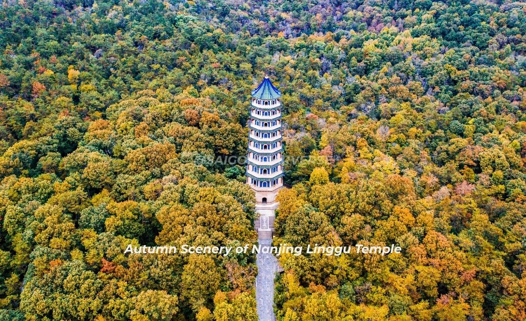 Nam Kinh (Nanjing) – Dấu Ấn Lịch Sử Trong Sắc Thu