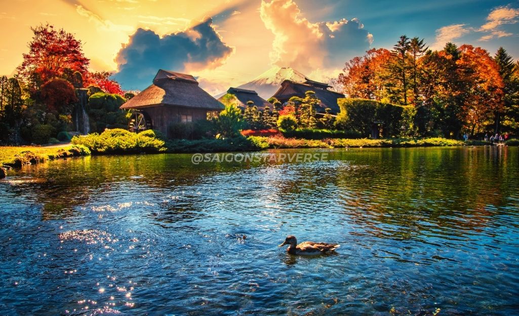 Hồ nước trong vắt tại Oshino Hakkai, với những hàng cây lá đỏ phản chiếu và núi Phú Sĩ làm nền.