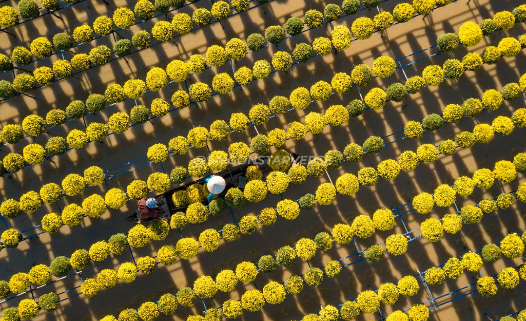 làng hoa sa đéc – tour du lịch miền tây