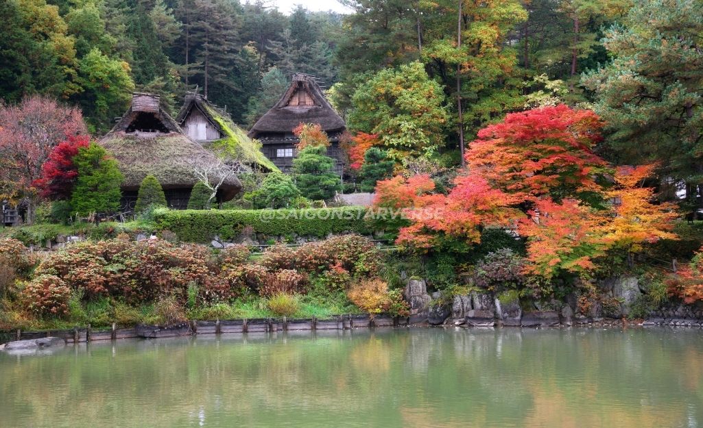 Những ngôi nhà cổ ở Hida Folk Village được thắp sáng lung linh vào mùa thu, bao quanh bởi lá đỏ rực rỡ.