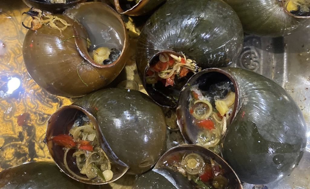 Grilled Apple Snails with Green Pepper