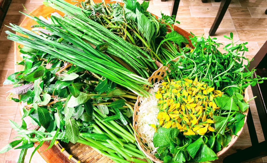 Wild Vegetables – Gifts of the Flood