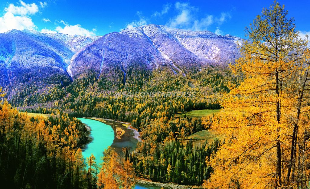Tân Cương (Xīnjiāng)-Autumn Trees in Xinjiang, China