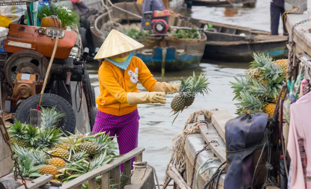 bức tranh sinh động về cuộc sống miền sông nước. Bình minh trên chợ nổi Cái Răng