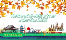 Ảnh tổng hợp các cảnh sắc mùa thu: Một góc lá đỏ Hàn Quốc, một góc lúa chín Sapa, một đôi chân đi trên thảm lá vàng.