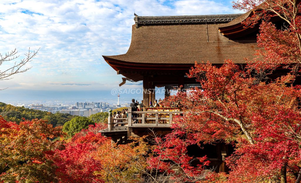 Hình ảnh: Chùa Kiyomizu-dera ở Kyoto với rừng lá đỏ bao quanh.
