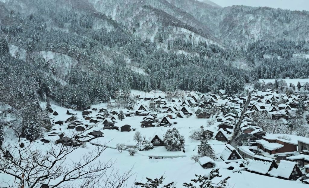 Những ngôi nhà mái tranh Gassho-zukuri cổ kính tại làng cổ Shirakawa-go mùa đông phủ đầy tuyết trắng.