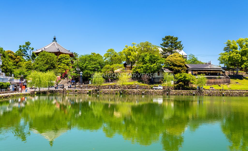 Khám phá Công Viên Nara (Nara Park) A-Z, và Chùa Kofukuji với tháp 5 tầng phản chiếu trên hồ Sarusawa-ike.