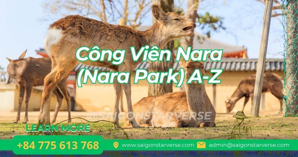 Công Viên Nara (Nara Park) A-Z: Trải Nghiệm Cùng Hươu Sika & Khám Phá Cố Đô