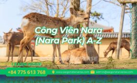 Công Viên Nara (Nara Park) A-Z: Trải Nghiệm Cùng Hươu Sika & Khám Phá Cố Đô