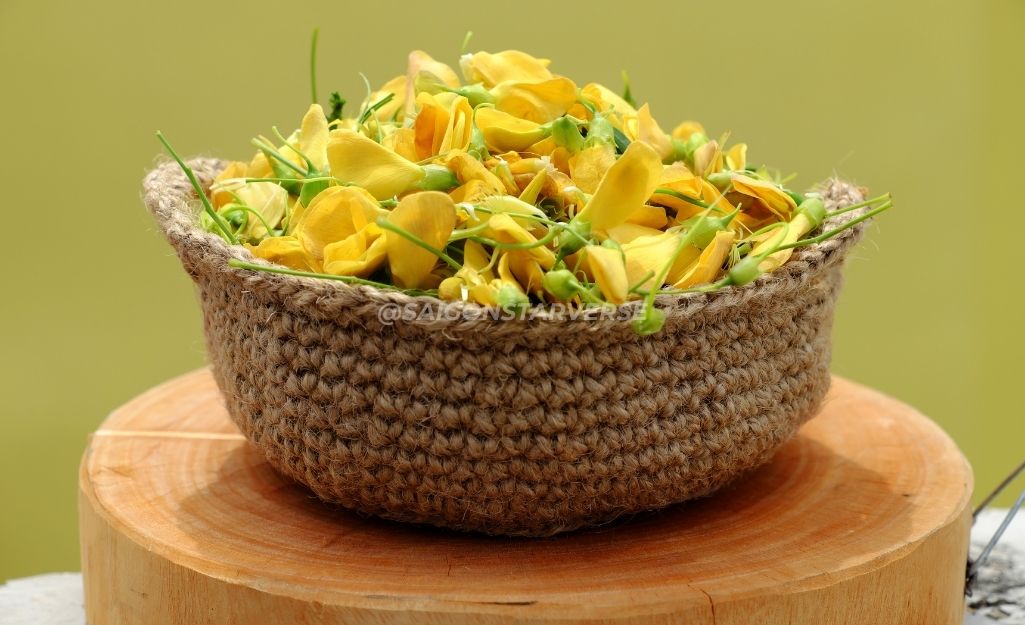 Du lịch Miền Tây Mùa Nước Nổi-Thưởng thức những món ăn đặc sản chỉ có trong mùa (Cá Linh, Bông Điên Điển).