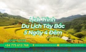 Lịch Trình Du Lịch Tây Bắc 5 Ngày 4 Đêm: Kết hợp Sapa, Hà Giang, Mộc Châu từ A-Z – Kinh Nghiệm Phượt Tự Túc 2025