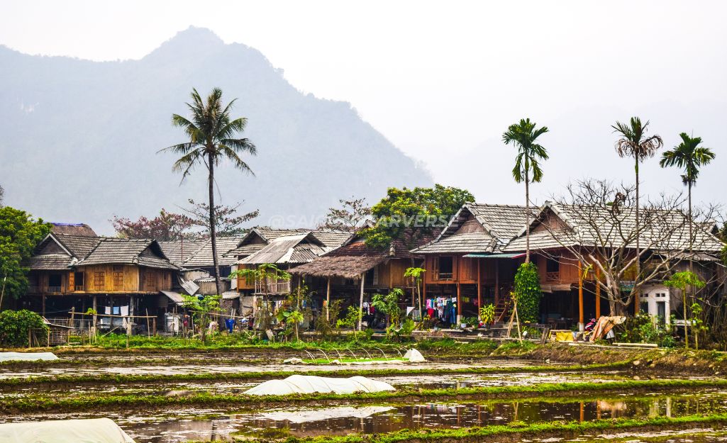 Các Điểm Check-in & Mẹo Chụp Ảnh 'Sống Ảo' Đỉnh Cao trong Lịch Trình Du Lịch Tây Bắc 5 Ngày 4 Đêm