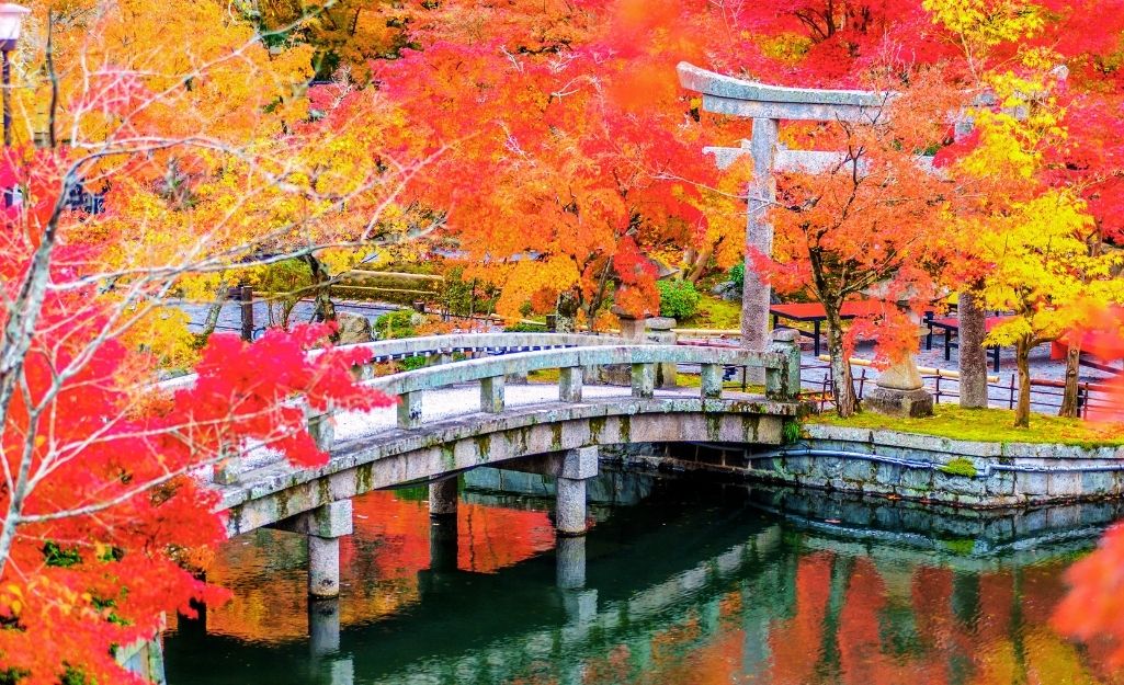 Ngắm lá phong đỏ rực ở Kyoto - điểm đến mùa thu hàng đầu Châu Á.