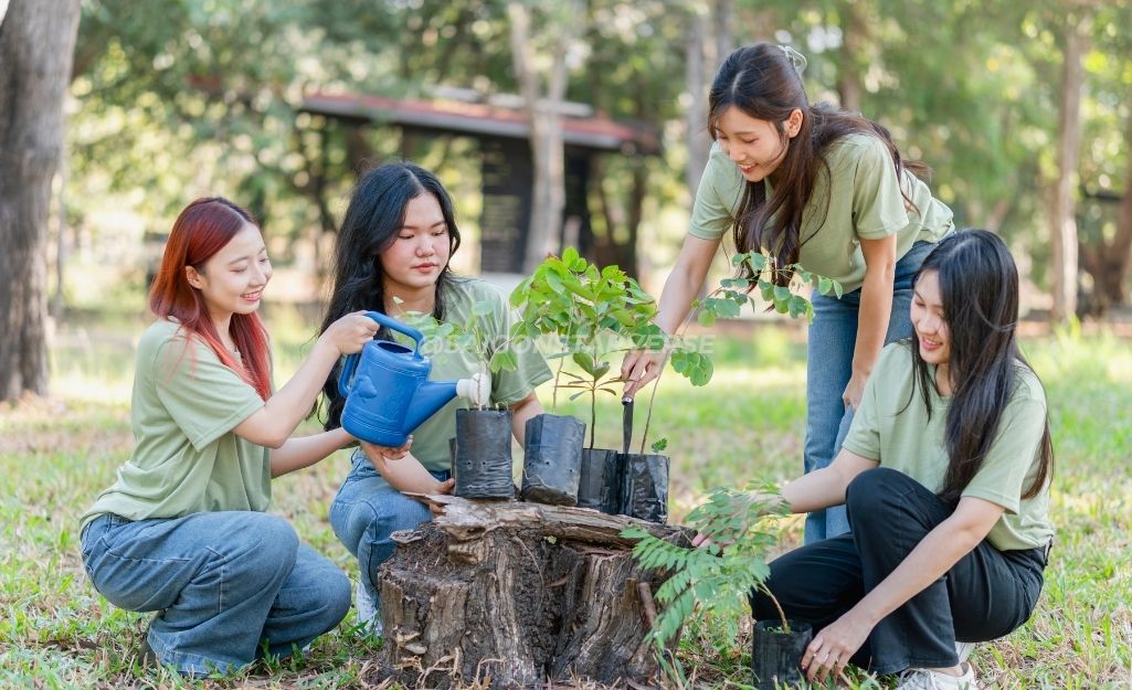 5 LỢI ÍCH VÀNG: GIÁ TRỊ VĨNH CỬU CỦA HOẠT ĐỘNG TEAM BUILDING TRỒNG CÂY