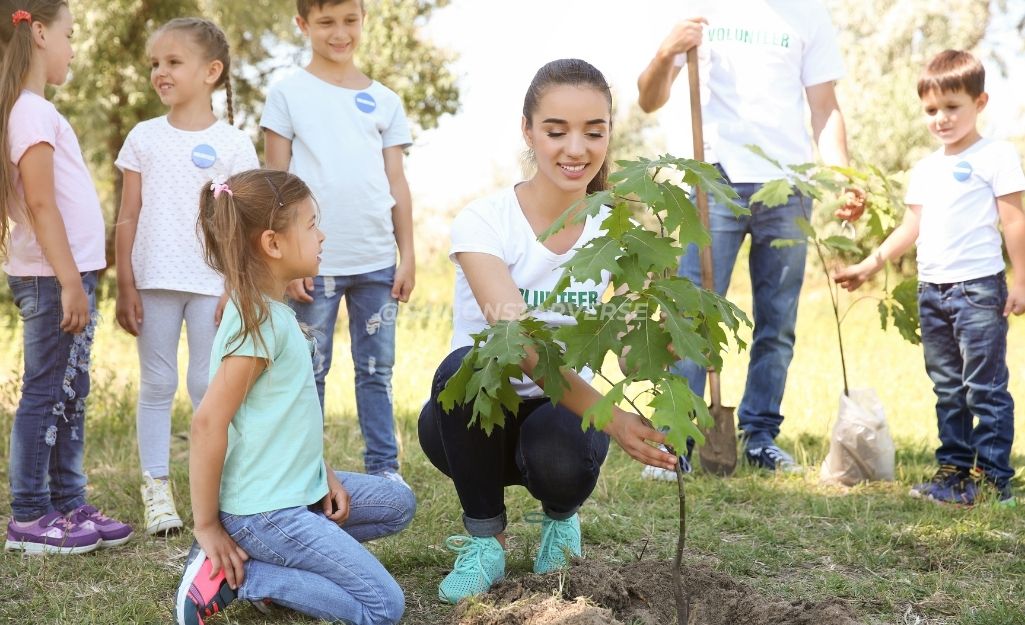 LỜI KHUYÊN CHUYÊN GIA: 3 CHIẾN LƯỢC TỐI ĐA HÓA HIỆU QUẢ CỦA TEAM BUILDING TRỒNG CÂY