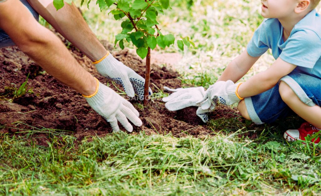 Địa điểm Team Building Trồng Cây gần TPHCM: gắn liền với tính sinh thái và tiềm năng tác động thực tế của hoạt động trồng cây.