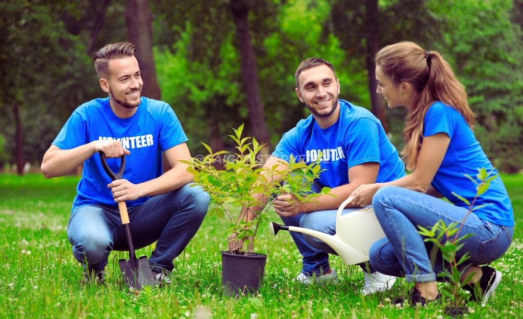 TOP 7 ĐỊA ĐIỂM TEAM BUILDING TRỒNG CÂY