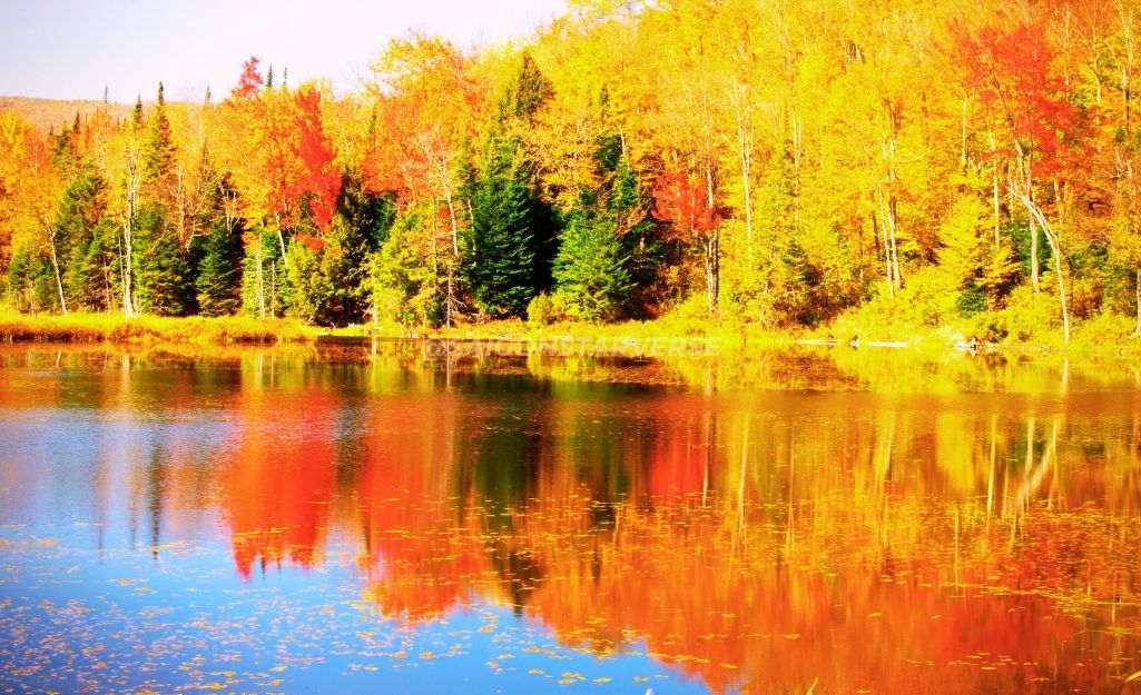 Trải nghiệm du lịch mùa thu lá vàng lá đỏ tại Vermont, Mỹ.