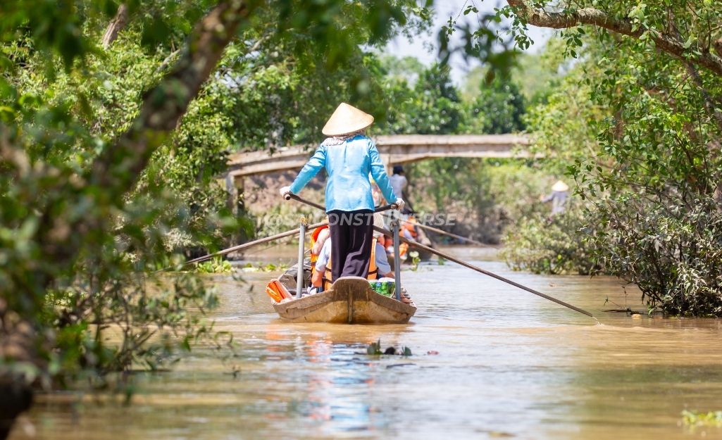 Khung cảnh miền Tây sông nước yên bình với hàng dừa xanh mát, điểm đến lý tưởng cho chuyến du lịch chữa lành.