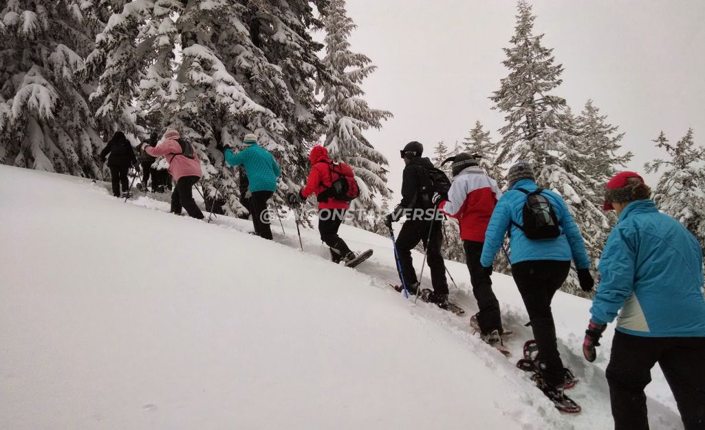 Bắt đầu thiết kế Tour Thiết Kế Riêng hoàn hảo của bạn