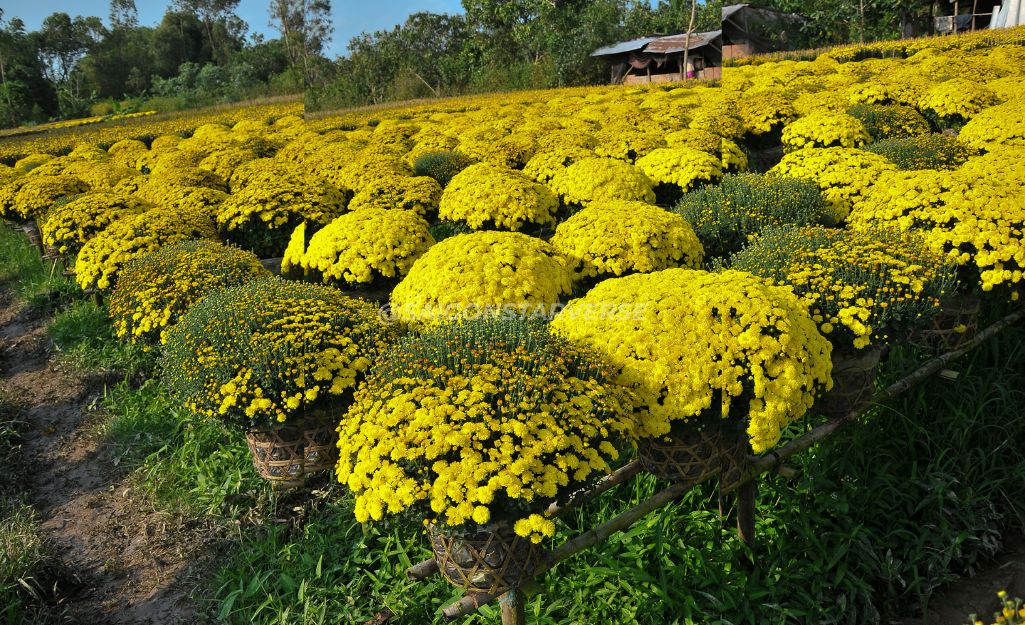 Khám phá miền tây mùa nước nổi,