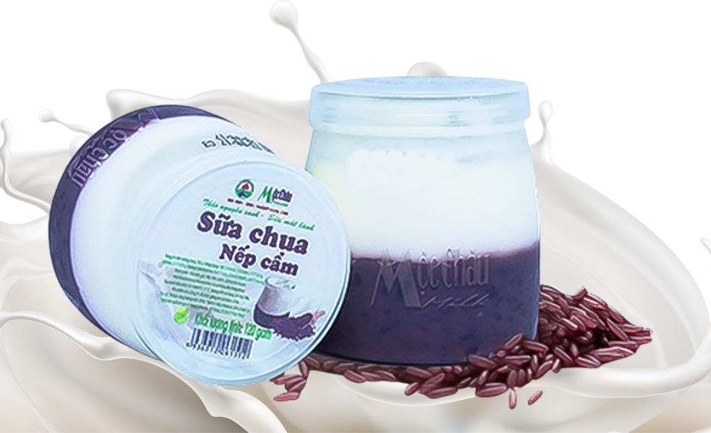 Sữa Chua Nếp Cẩm Mộc Châu, món tráng miệng nổi tiếng được nhiều du khách mê