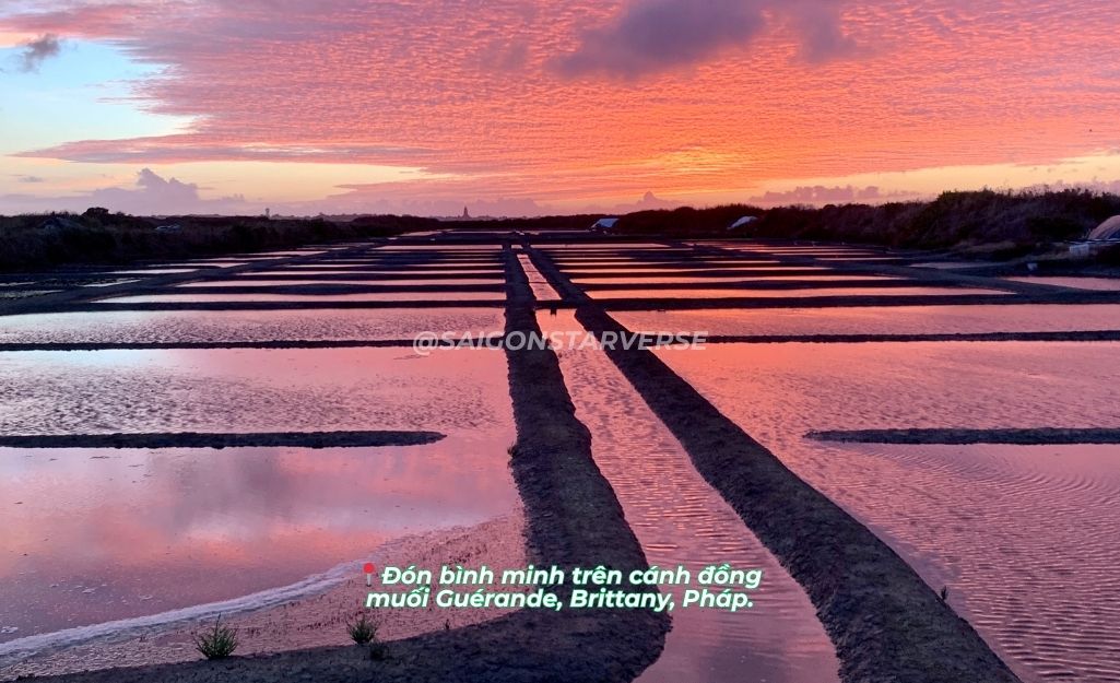 TOP 7 TRẢI NGHIỆM BÌNH MINH TUYỆT VỜI NHẤT THẾ GIỚI- 5 - Chào đón bình minh trên cánh đồng muối GUÉRANDE, PHÁP