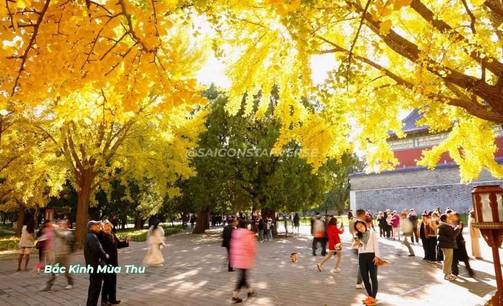 Lưu Ý Văn Hóa và Trách Nhiệm Du Lịch khi tham quan công viên Thiên Đàn