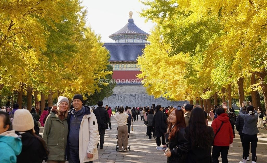 Du khách tham quan, chụp ảnh tại Đại Lộ Bạch Quả Thiên Đàn, Bắc Kinh Mùa Thu