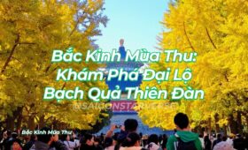 Bắc Kinh Mùa Thu: Khám Phá Đại Lộ Bạch Quả Thiên Đàn - Tuyệt Tác "Cánh Cổng Vàng" Đẹp Nhất Châu Á