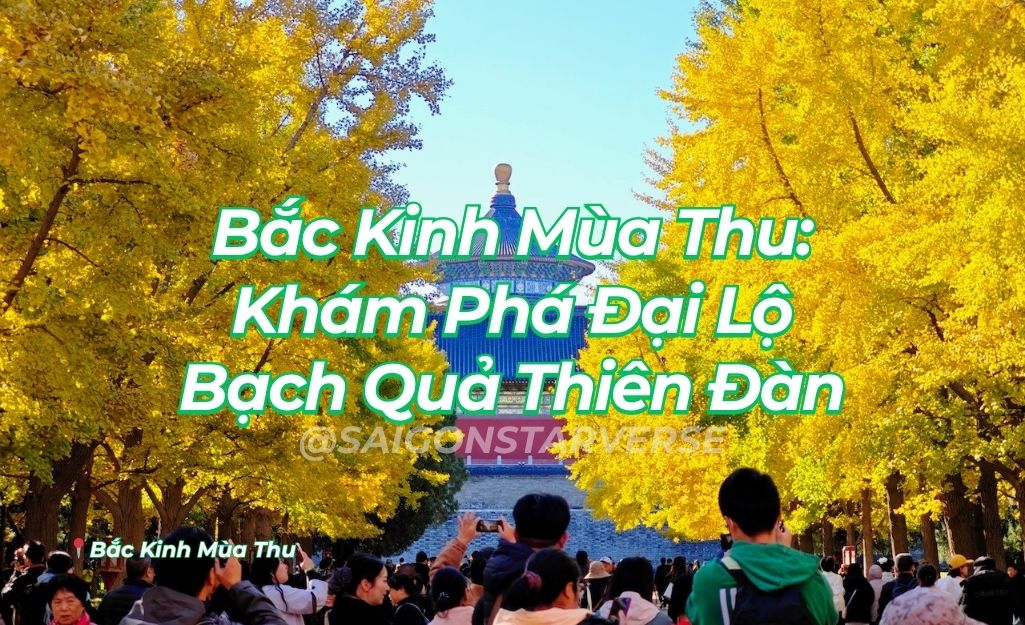 Bắc Kinh Mùa Thu: Khám Phá Đại Lộ Bạch Quả Thiên Đàn - Tuyệt Tác "Cánh Cổng Vàng" Đẹp Nhất Châu Á