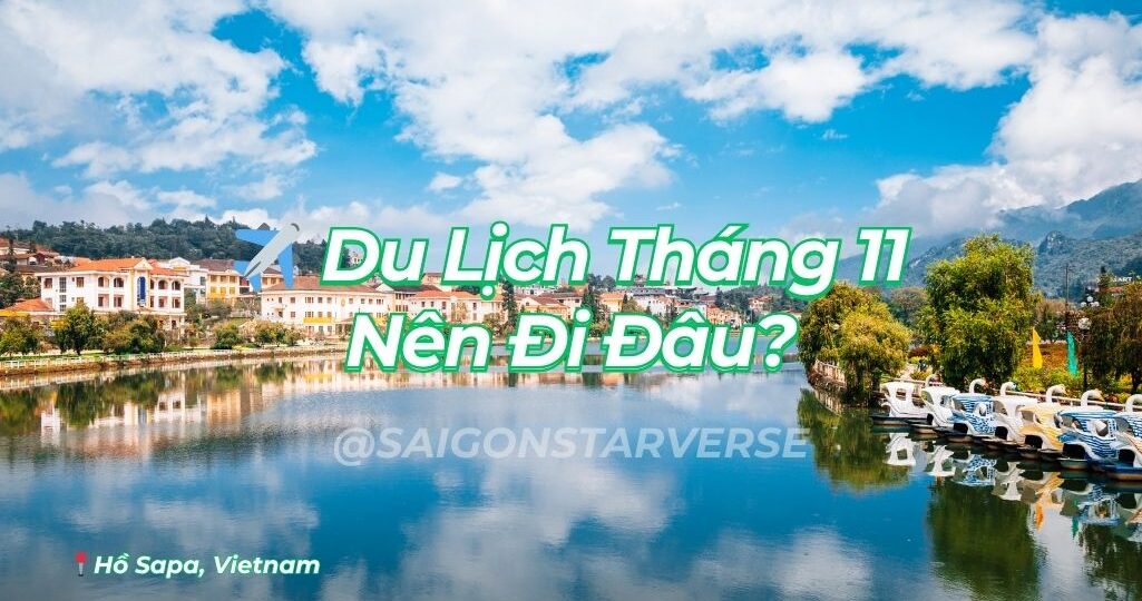 Du Lịch Tháng 11 Nên Đi Đâu? Cẩm Nang Chi Tiết A-Z Cho Hành Trình Săn Mây, Săn Hoa và Tắm Biển