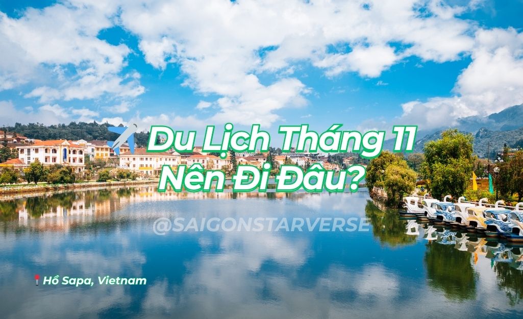 Du Lịch Tháng 11 Nên Đi Đâu? Cẩm Nang Chi Tiết A-Z Cho Hành Trình Săn Mây, Săn Hoa và Tắm Biển
