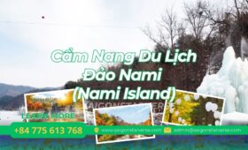 Cẩm Nang Du Lịch Đảo Nami (Nami Island): Bản Tình Ca Mùa Đông Giữa Lòng Hàn Quốc