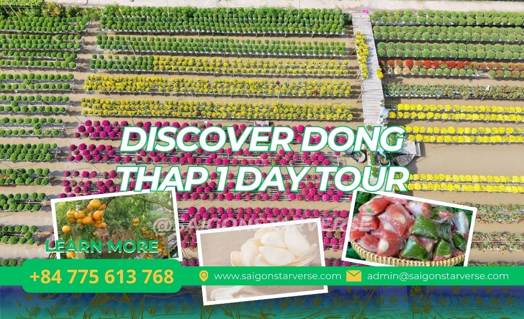 DISCOVER DONG THAP 1 DAY TOUR
