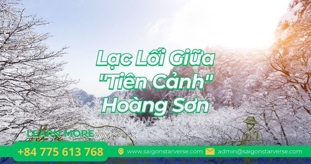 Lạc Lối Giữa "Tiên Cảnh" Hoàng Sơn: Khi Cả Thế Giới Hóa Thành Ngọc Bích
